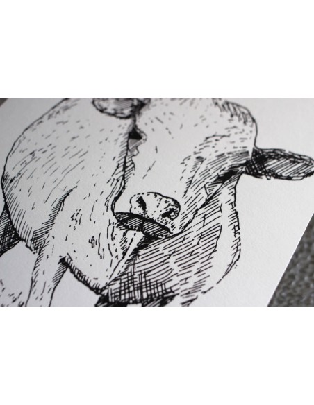 Cow