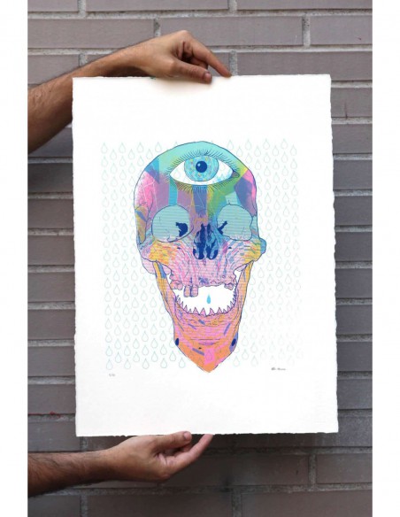 Skull Shark