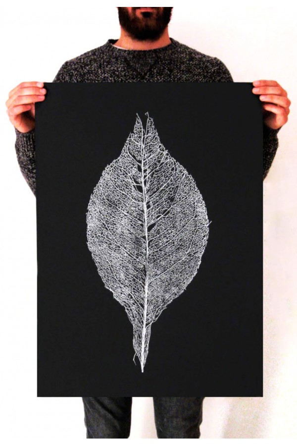 Skeleton Leaf