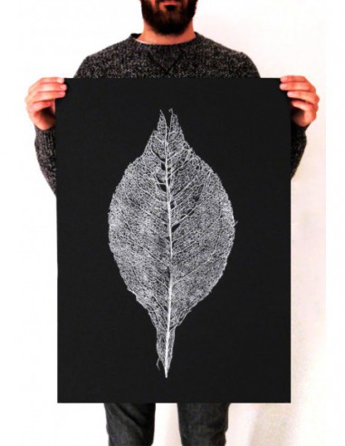 Skeleton Leaf