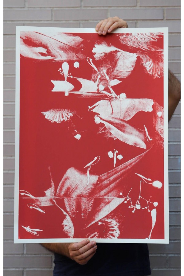 Botanical N.2