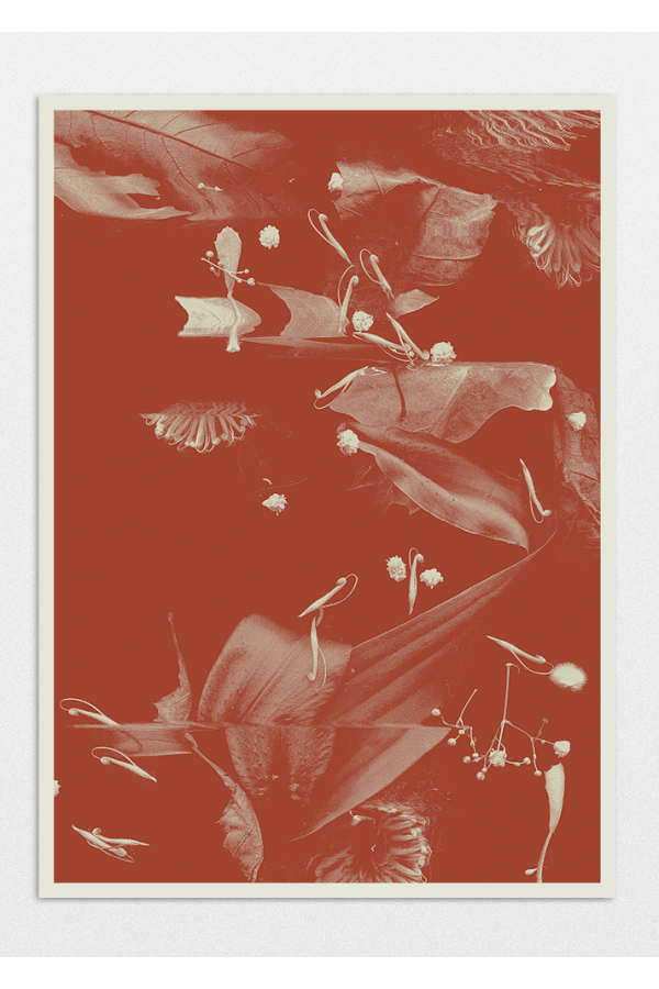 Botanical N.2 2
