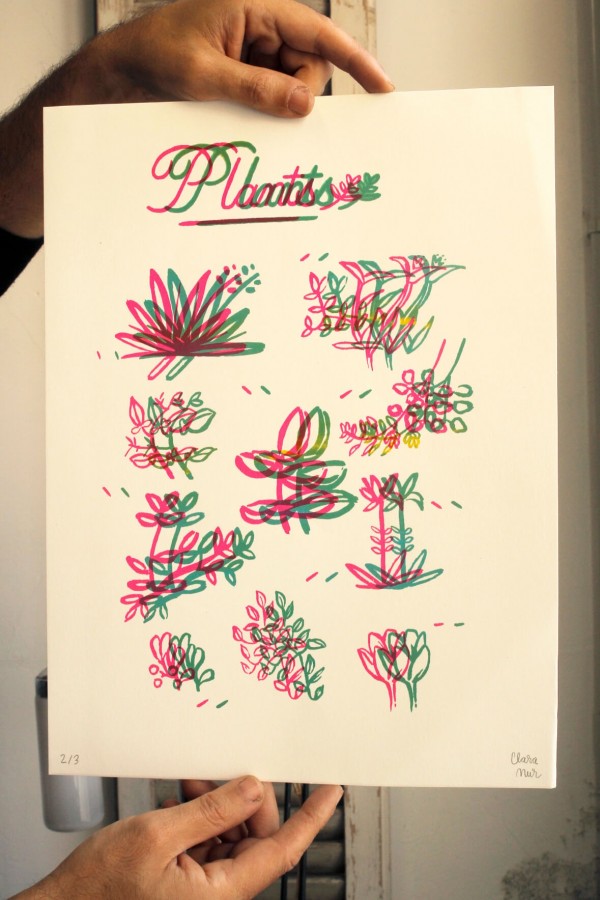 Mácula Plants