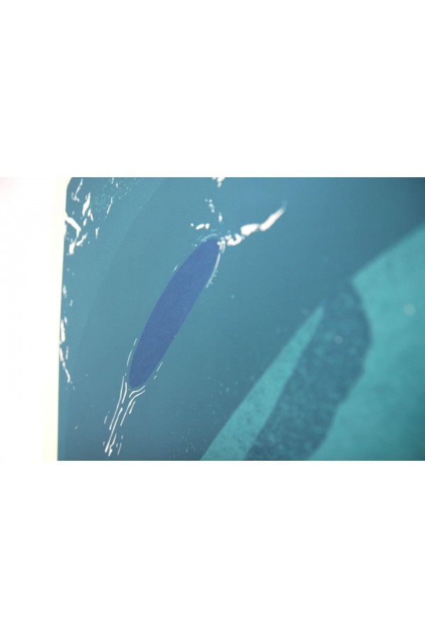 Hero Whales 2