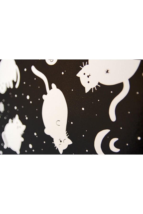 Momo, the Space Cat 2