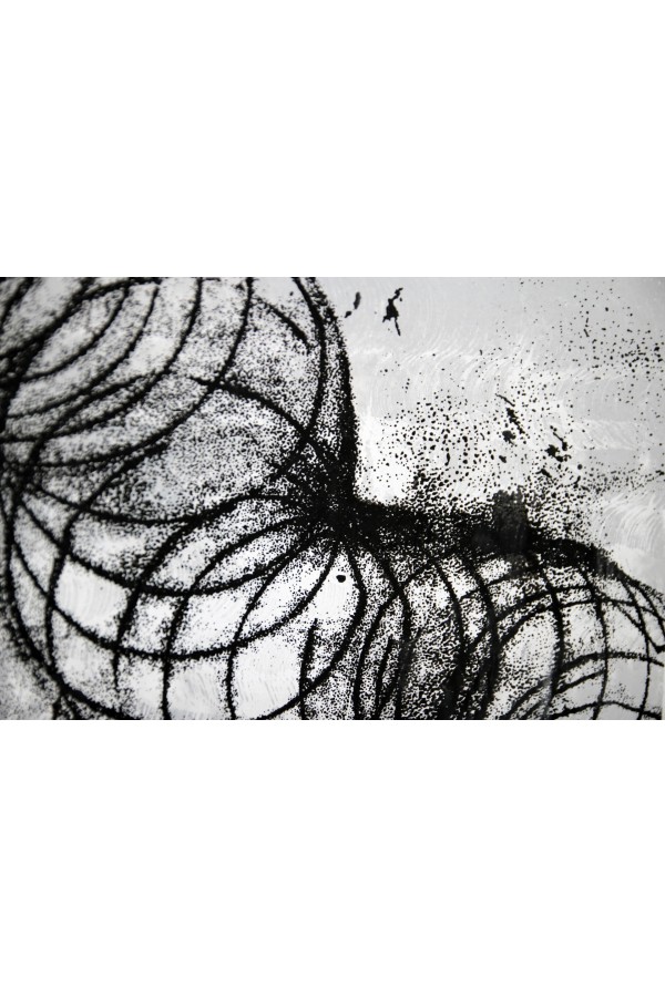 Interplay III 2