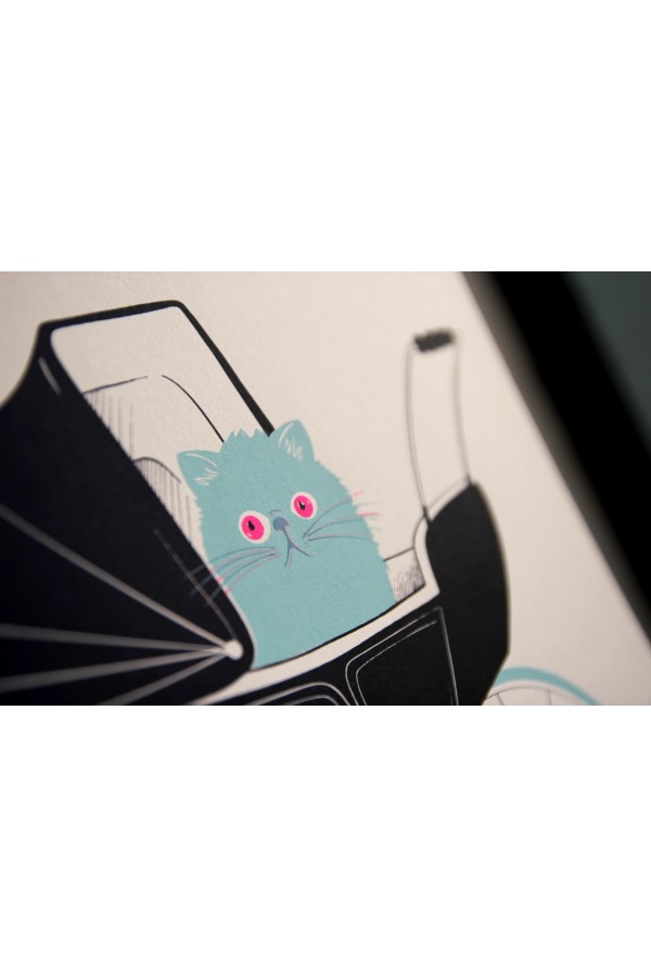 Rosemary’s cat 2