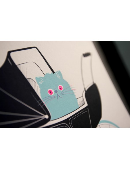 Rosemary’s cat