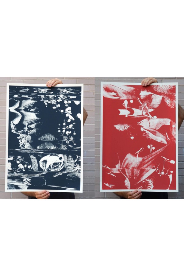 Botanical complete collection