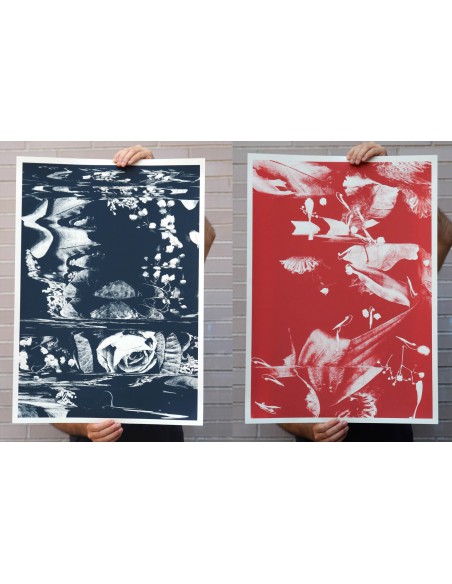Botanical complete collection