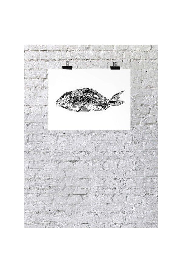 Big Fish of Andaman Sea