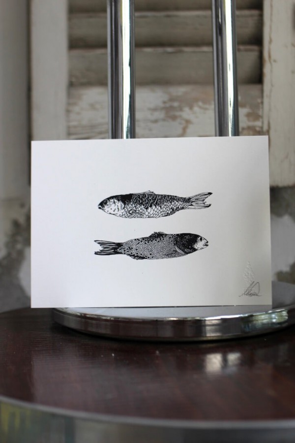 Little Fishes of Andaman Sea