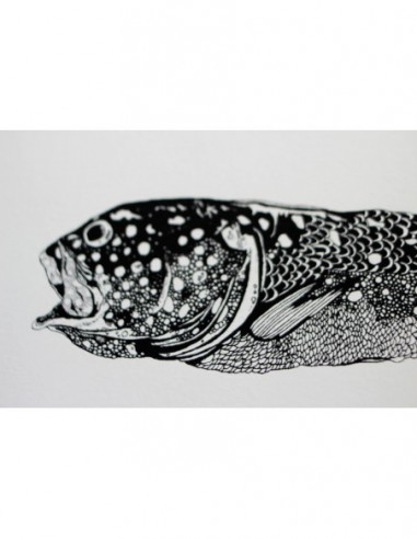 Fish & Bones
