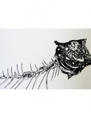 Fish & Bones