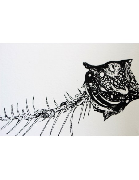 Fish & Bones
