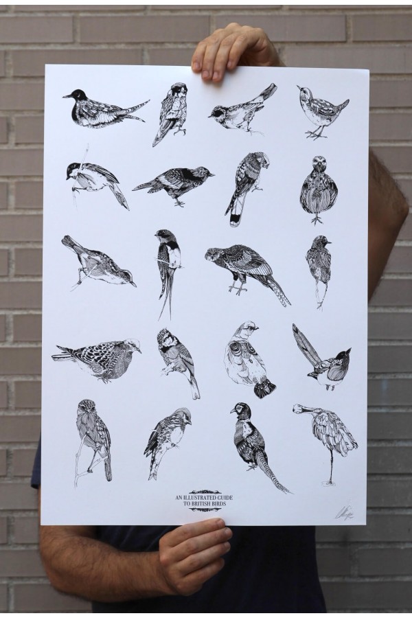 Illustrated Guide to...