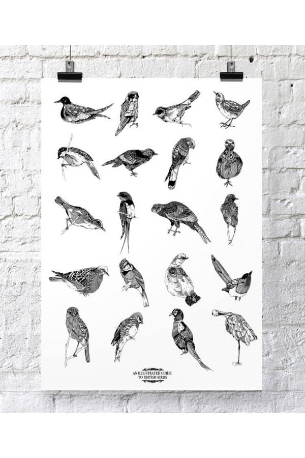 Illustrated Guide to... 2