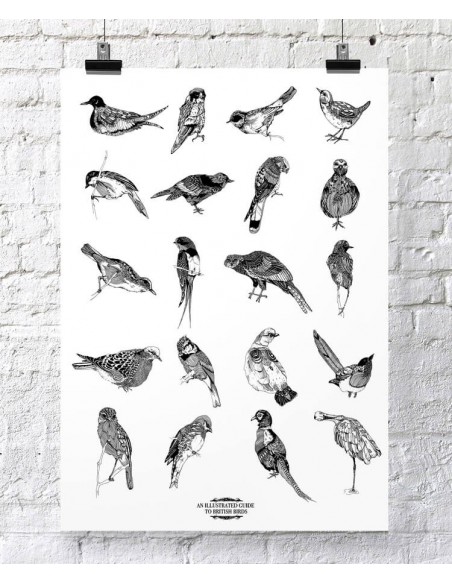 Illustrated Guide to British Birds