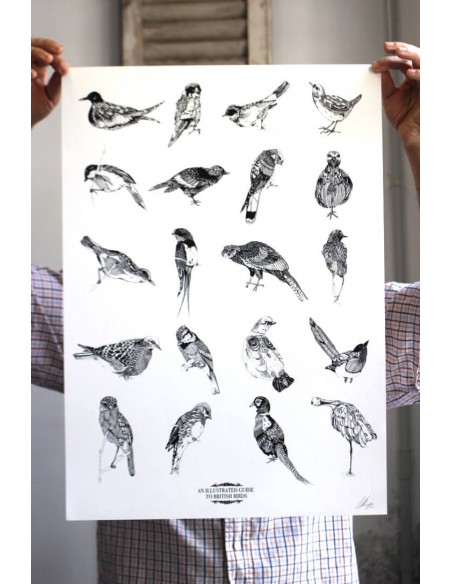 Illustrated Guide to British Birds