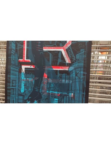 Spiegelsaal´s Test Print IX