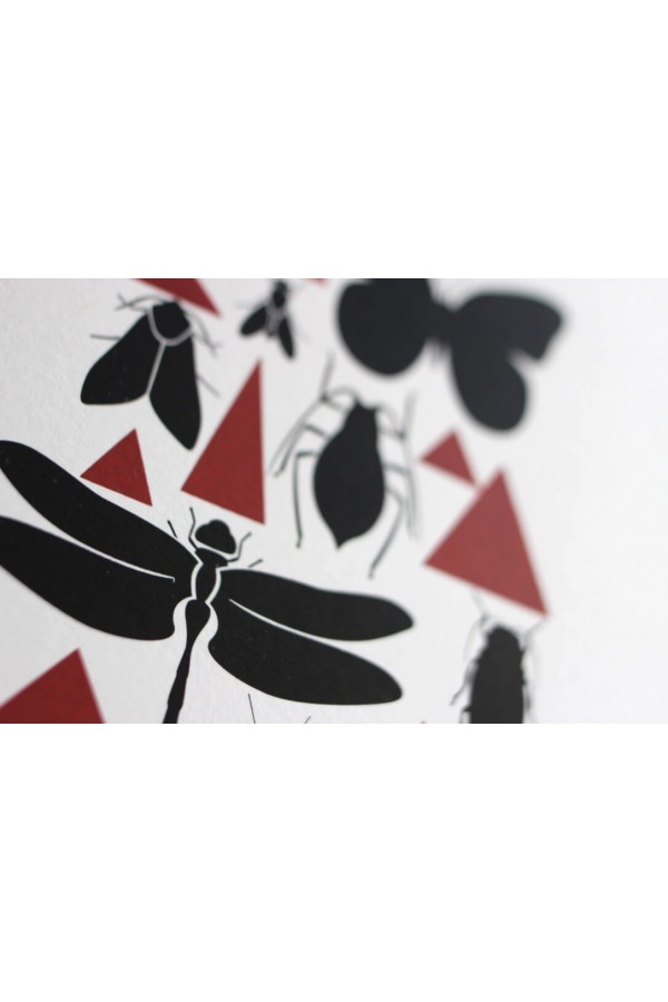 Insectes 2