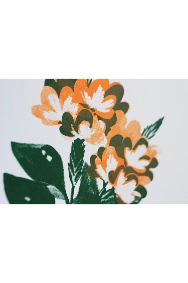 Posy 2