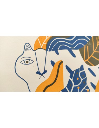 Sóc el Tigre que s'amaga