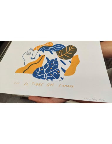 Sóc el Tigre que s'amaga