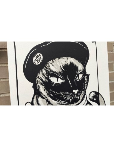 Pussy Cat B&W