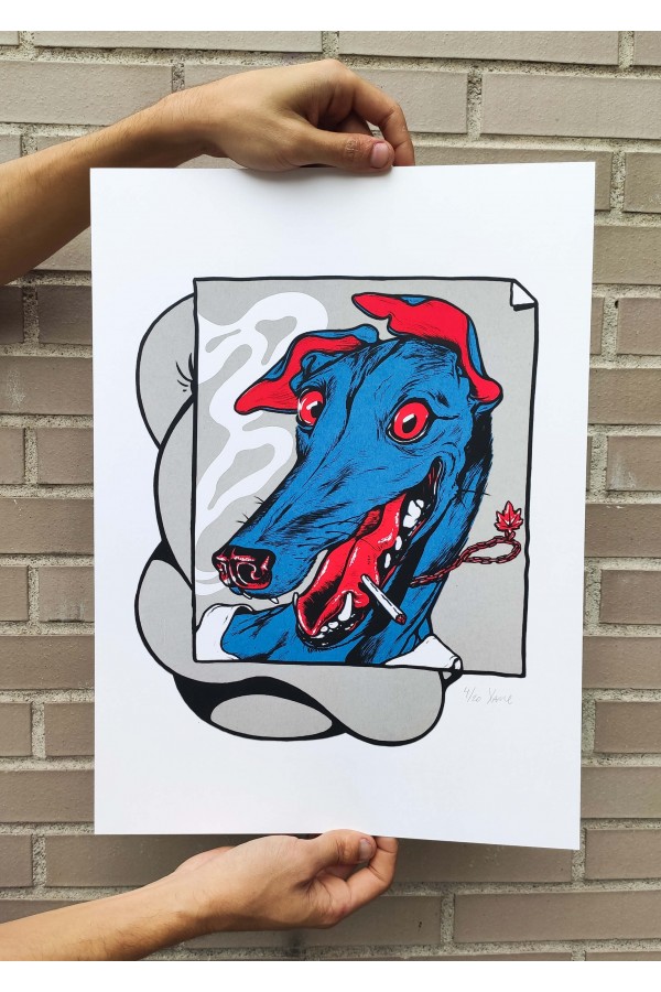 Galgo