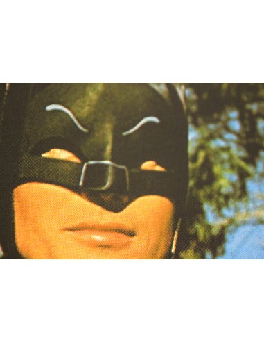 Batman & Robin