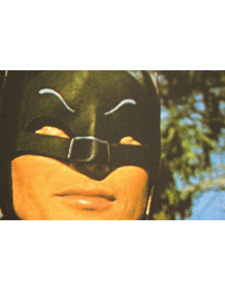 Batman & Robin