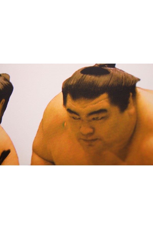 Sumo 2