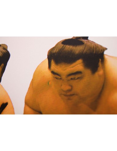 Sumo