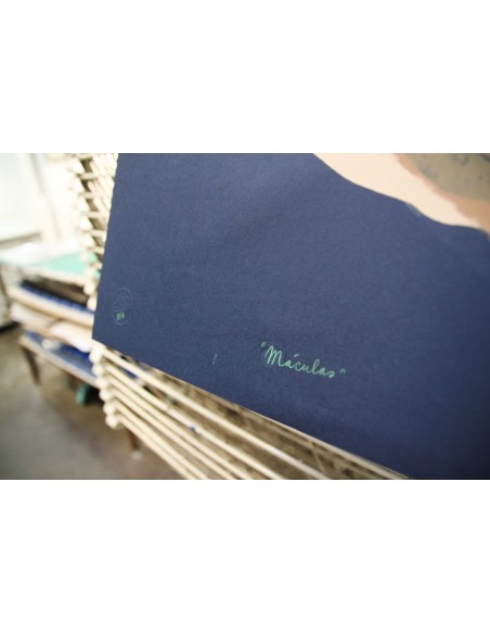 Elisa Talentino´s Mácula / Test Print II