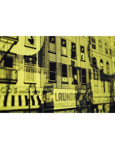 Brooklyn I Macula