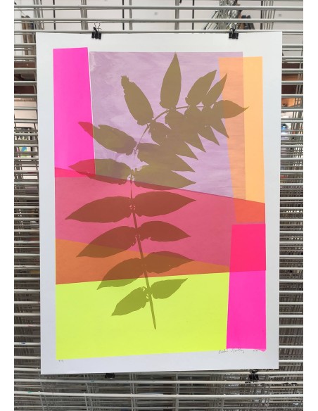 Plant