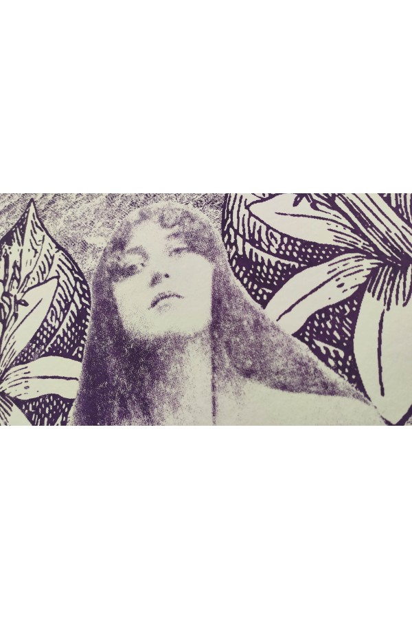 Muse 2