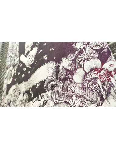 Frida & Flowers