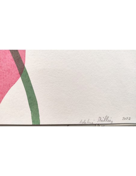 Plants and Flowers - Monstera
