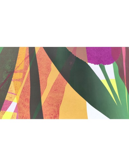 Plants and Flowers - Iris