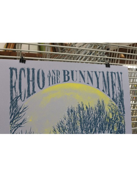 Echo & the Bunnymen