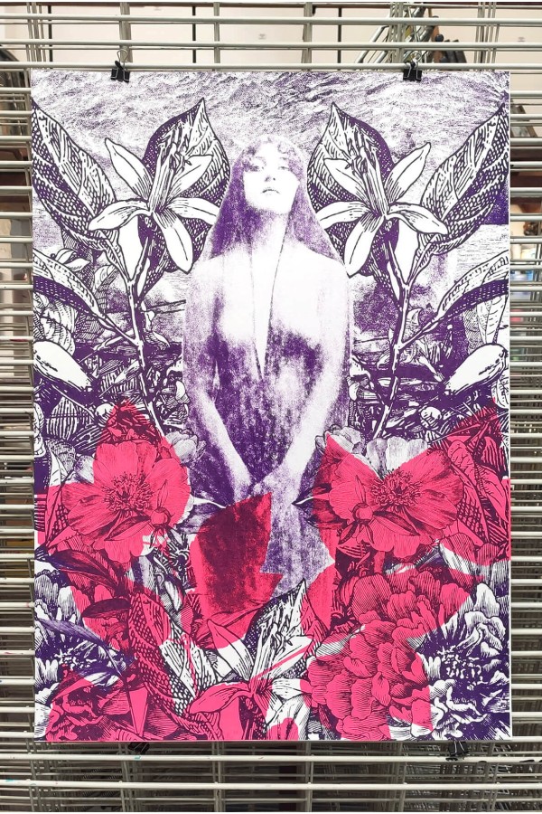 Muse