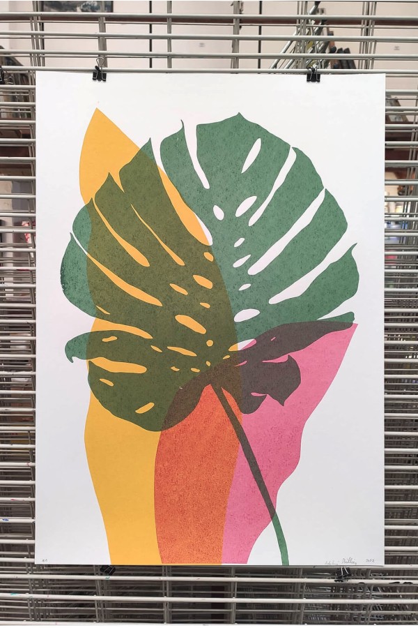 Plants and Flowers - Monstera 2