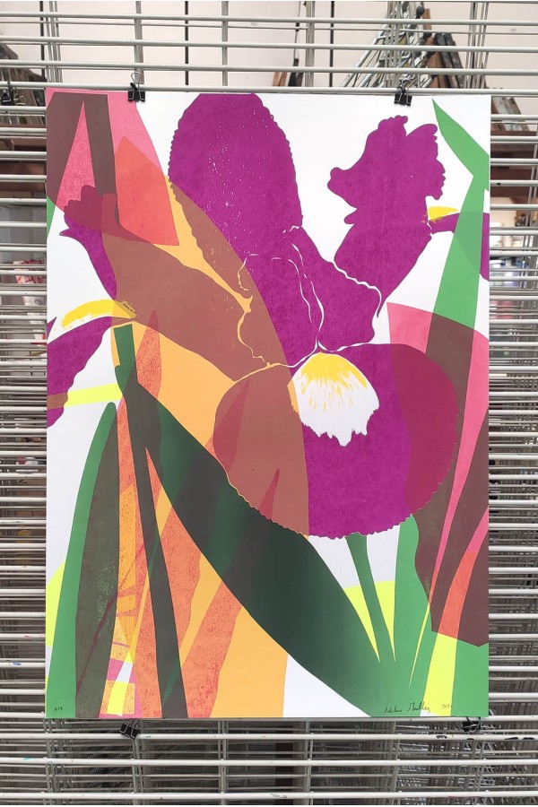 Plants and Flowers - Iris 2