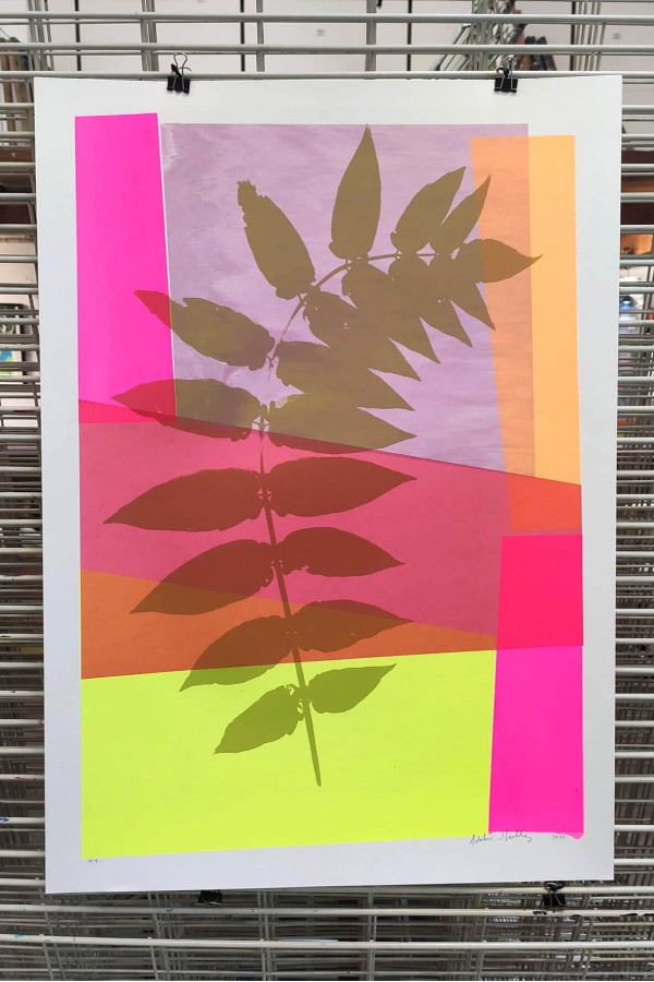 Plant