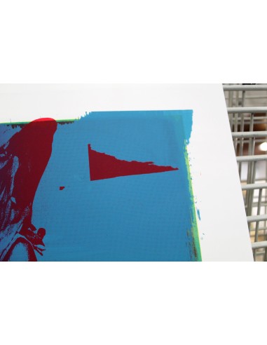 Mirjam Dijkema´s Test Print XII