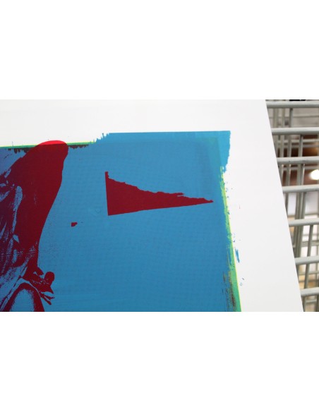 Mirjam Dijkema´s Test Print XII