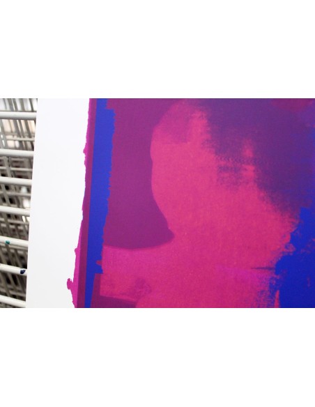 Mirjam Dijkema´s Test Print XII