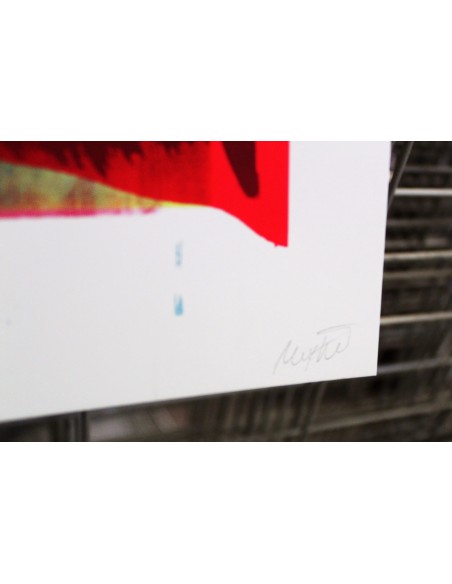 Mirjam Dijkema´s Test Print XII